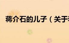 蒋介石的儿子（关于蒋介石的儿子的介绍）