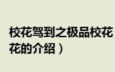 校花驾到之极品校花（关于校花驾到之极品校花的介绍）
