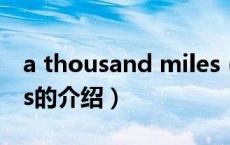 a thousand miles（关于a thousand miles的介绍）