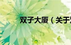 双子大厦（关于双子大厦的介绍）