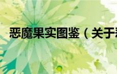 恶魔果实图鉴（关于恶魔果实图鉴的介绍）
