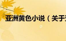 亚洲黄色小说（关于亚洲黄色小说的介绍）