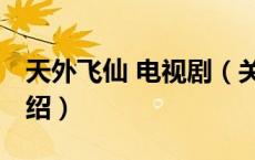 天外飞仙 电视剧（关于天外飞仙 电视剧的介绍）