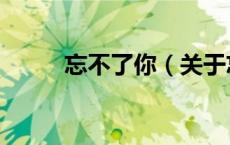 忘不了你（关于忘不了你的介绍）