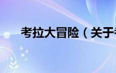 考拉大冒险（关于考拉大冒险的介绍）