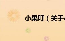 小果叮（关于小果叮的介绍）