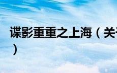 谍影重重之上海（关于谍影重重之上海的介绍）