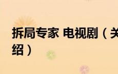 拆局专家 电视剧（关于拆局专家 电视剧的介绍）