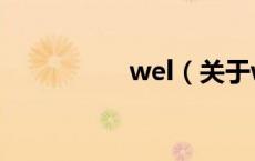 wel（关于wel的介绍）