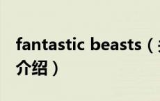 fantastic beasts（关于fantastic beasts的介绍）