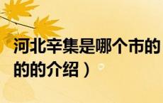 河北辛集是哪个市的（关于河北辛集是哪个市的的介绍）