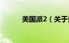 美国派2（关于美国派2的介绍）