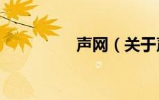 声网（关于声网的介绍）