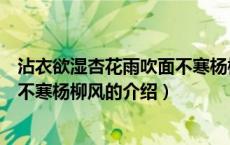 沾衣欲湿杏花雨吹面不寒杨柳风（关于沾衣欲湿杏花雨吹面不寒杨柳风的介绍）