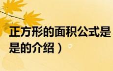 正方形的面积公式是（关于正方形的面积公式是的介绍）