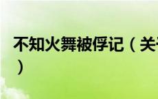 不知火舞被俘记（关于不知火舞被俘记的介绍）