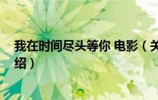 我在时间尽头等你 电影（关于我在时间尽头等你 电影的介绍）