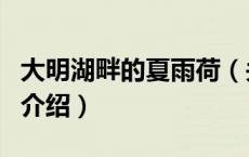 大明湖畔的夏雨荷（关于大明湖畔的夏雨荷的介绍）