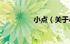 小点（关于小点的介绍）