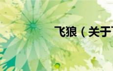 飞狼（关于飞狼的介绍）