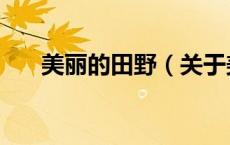 美丽的田野（关于美丽的田野的介绍）