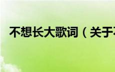 不想长大歌词（关于不想长大歌词的介绍）
