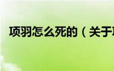 项羽怎么死的（关于项羽怎么死的的介绍）