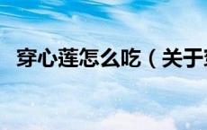 穿心莲怎么吃（关于穿心莲怎么吃的介绍）
