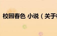 校园春色 小说（关于校园春色 小说的介绍）