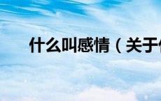 什么叫感情（关于什么叫感情的介绍）