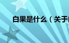 白果是什么（关于白果是什么的介绍）