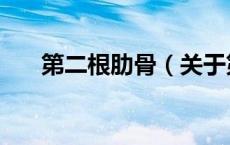 第二根肋骨（关于第二根肋骨的介绍）