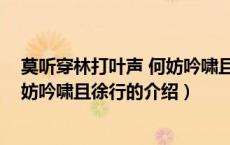 莫听穿林打叶声 何妨吟啸且徐行（关于莫听穿林打叶声 何妨吟啸且徐行的介绍）