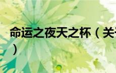 命运之夜天之杯（关于命运之夜天之杯的介绍）