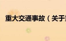 重大交通事故（关于重大交通事故的介绍）