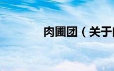 肉圃团（关于肉圃团的介绍）