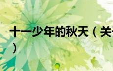 十一少年的秋天（关于十一少年的秋天的介绍）
