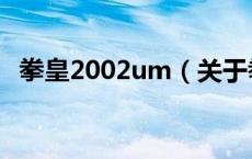 拳皇2002um（关于拳皇2002um的介绍）