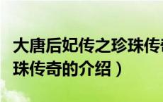 大唐后妃传之珍珠传奇（关于大唐后妃传之珍珠传奇的介绍）