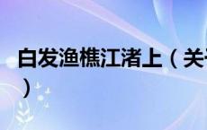 白发渔樵江渚上（关于白发渔樵江渚上的介绍）