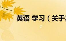 英语 学习（关于英语 学习的介绍）