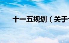 十一五规划（关于十一五规划的介绍）