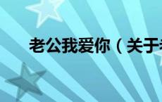 老公我爱你（关于老公我爱你的介绍）
