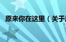 原来你在这里（关于原来你在这里的介绍）