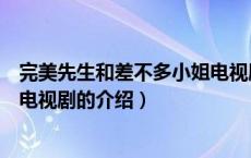 完美先生和差不多小姐电视剧（关于完美先生和差不多小姐电视剧的介绍）