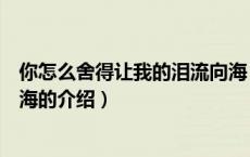 你怎么舍得让我的泪流向海（关于你怎么舍得让我的泪流向海的介绍）