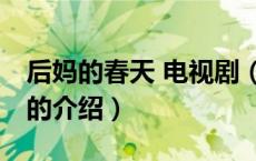 后妈的春天 电视剧（关于后妈的春天 电视剧的介绍）