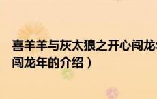 喜羊羊与灰太狼之开心闯龙年（关于喜羊羊与灰太狼之开心闯龙年的介绍）