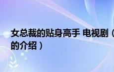 女总裁的贴身高手 电视剧（关于女总裁的贴身高手 电视剧的介绍）
