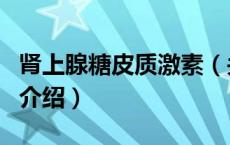 肾上腺糖皮质激素（关于肾上腺糖皮质激素的介绍）